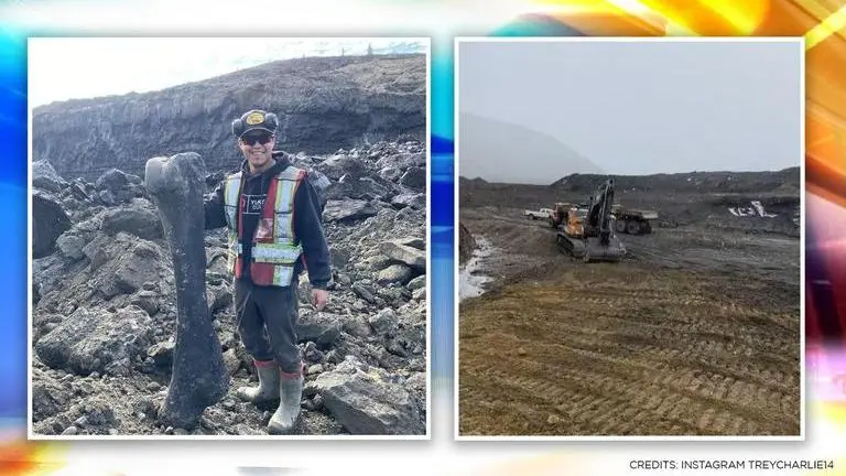 Canada miner in Yukon region unearths well-preserved fossil of ancient animal from Ice Age Canada