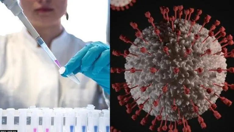 Researchers in Denmark find new way to cure infections resistant to antibiotics Researchers