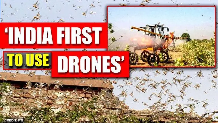 As locust menace reaches Delhi-NCR, India 'the first' to mobilise drones for battle Agriculture Ministry