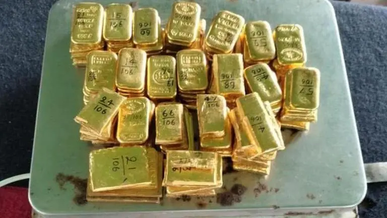 West Bengal: Smuggled gold worth Rs 8.60 cr recovered from pit in forest area near border gold biscuits