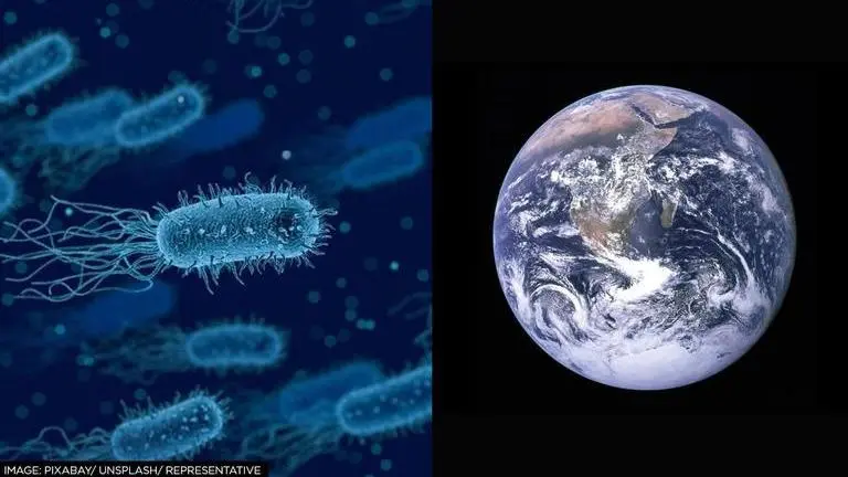 Scientists explore possible links between Earth's orbit & evolution of species Scientists