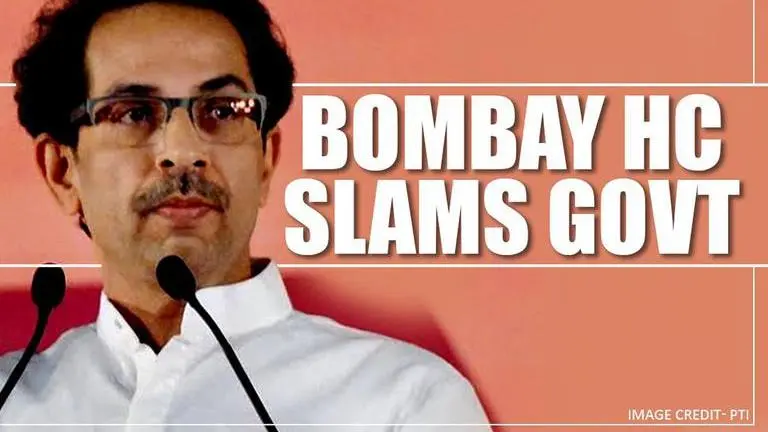 Money for Ambedkar statue, not for Wadia hospital? Bombay HC pulls up Uddhav govt bombay