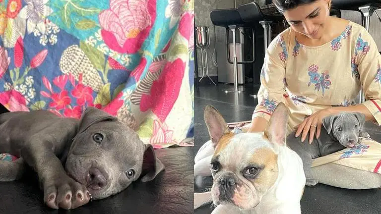Samantha Akkineni introduces her new pet Saasha; Dia Mirza & others react Samantha Akkineni