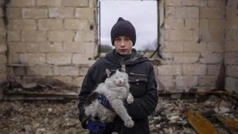 Rescuers pull out cat from rubble of a collapsed Kyiv building hit by Russian drone