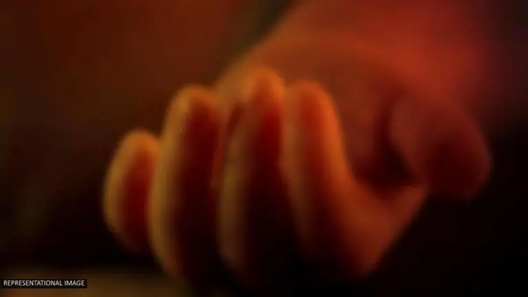 Andhra Pradesh: Infant dies after TV falls on her head at home Andhra