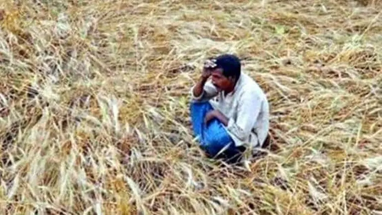 Farmers' stir in Rajasthan: Health of protester buried neck-deep in ground deteriorates PTI