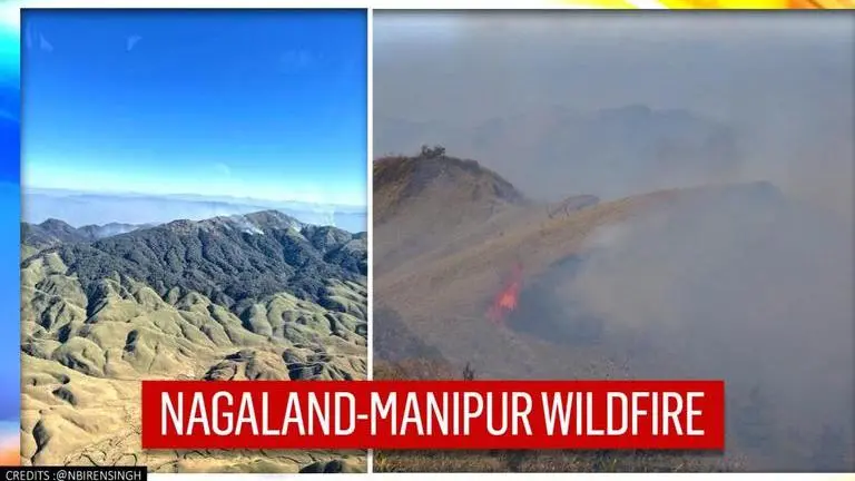 Wildfire breaks out at Dzukou valley at Nagaland-Manipur border; IAF joins relief efforts Fire fighting in Dzukou Valley