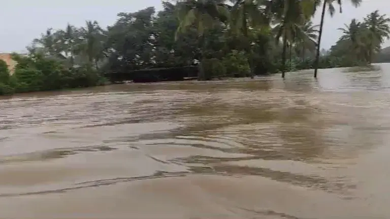 Tamil Nadu Flood Situation Intensifies, Indian Coast Guard Comes To ...