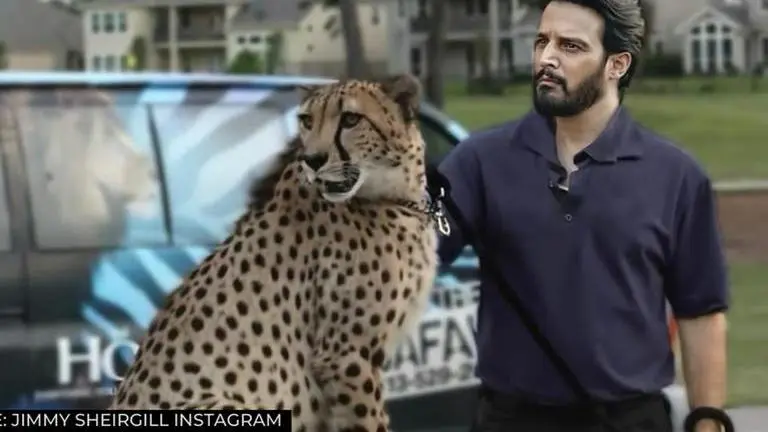 Jimmy Sheirgill's birthday: Interesting facts you need to know about 'Mohabbatein' star Jimmy Sheirgill