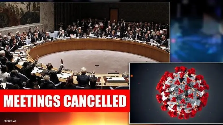 UN Security Council halts meetings amid coronavirus pandemic Un