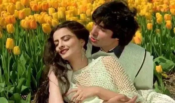 Description of the pic