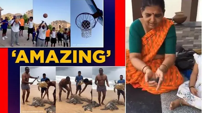 Good News: From dog saving pup to fishermen rescuing turtles, 5 great stories giving hope Good News