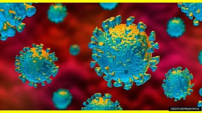 Strong activation of anti-bacterial cells of immune system linked to severe COVID-19: Study