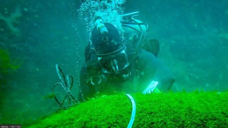 Hundreds of unexploded WWII bombs found on US Navy shipwreck near Canada, warning issued WWII bombs Canada