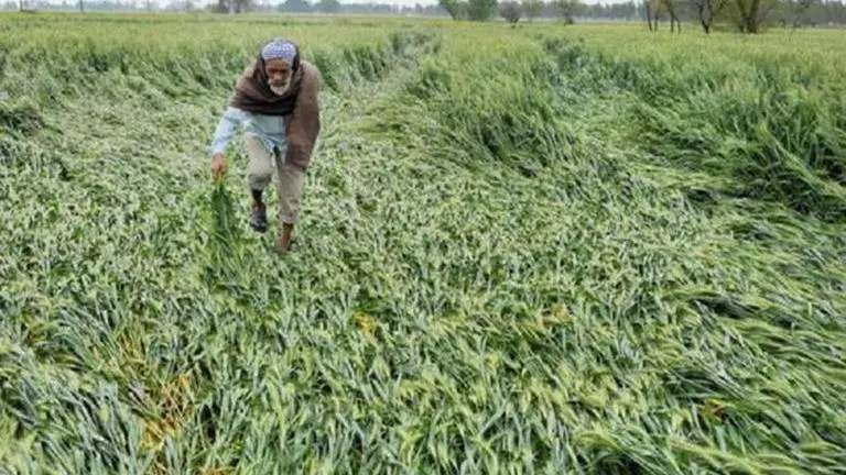Marathwada gets Rs 819 crore relief for unseasonal rains Marathwada