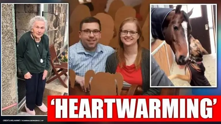 Good News: 5 heartwarming stories to lighten up your mood amid COVID-19 outbreak Good News