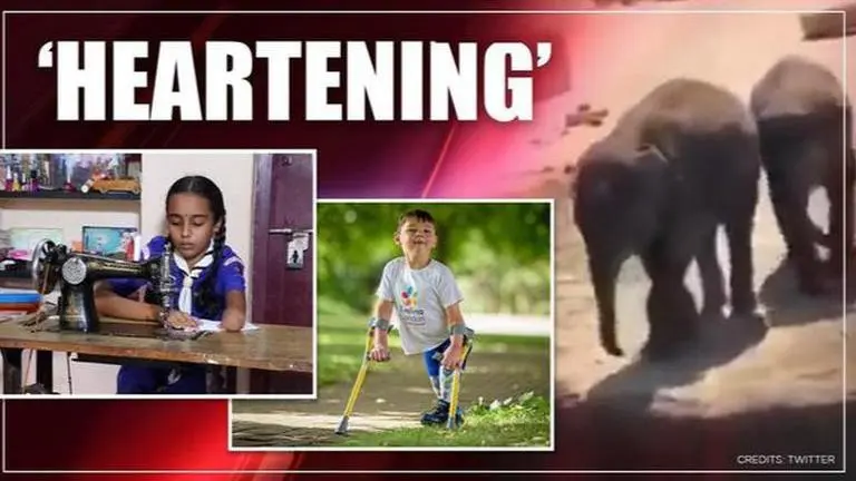 Good News: From 'cute' elephants to kind gestures by young kids, read 5 uplifting stories Good New