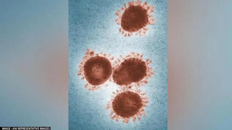 Scientists revive nearly 50,000-yr-old zombie virus hidden under frozen lakes in Russia Russia