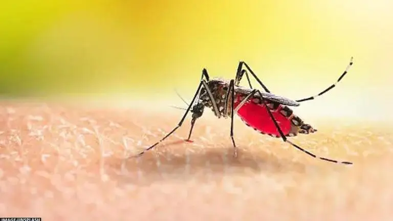 Dengue outbreak in Karnataka: 1,813 people infected in 21 days Dengue