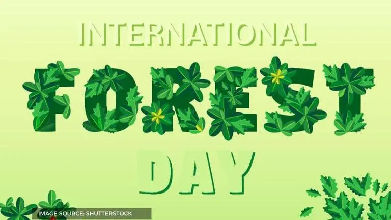 when is world forest day celebrated