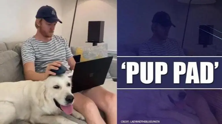 Video of dog offering help to its owner by being his mouse pad wins internet; Watch Video shows golden retriever aiding owner in his work, netizens in love