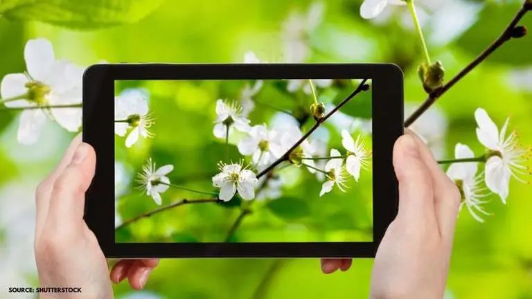 Nature Photography Day 2020: Celebrate natural beauty through camera lens with these lines nature photography day quotes