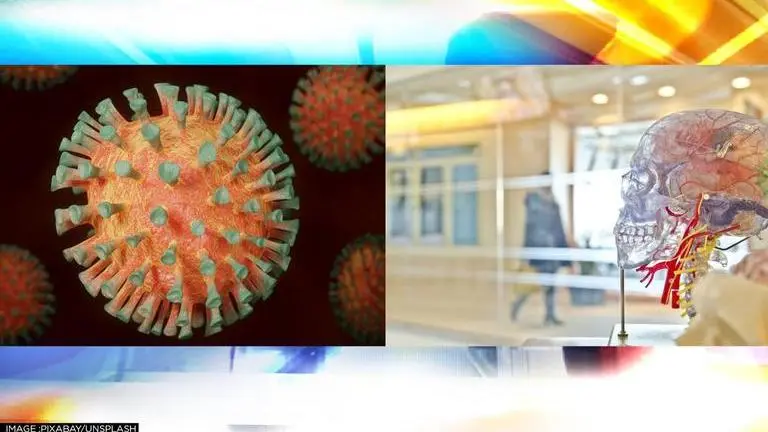 COVID causes brain shrinkage, dementia even in asymptomatic cases, claims study COVID