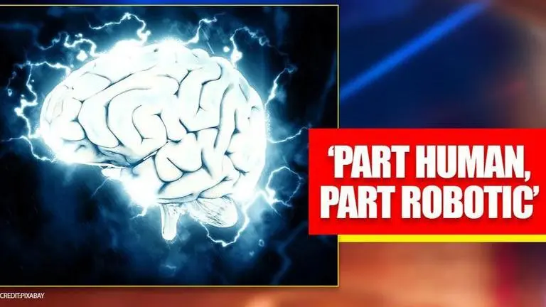 Scientists develop bio-synthetic material that could allow human brain to 'merge' with AI Scientists