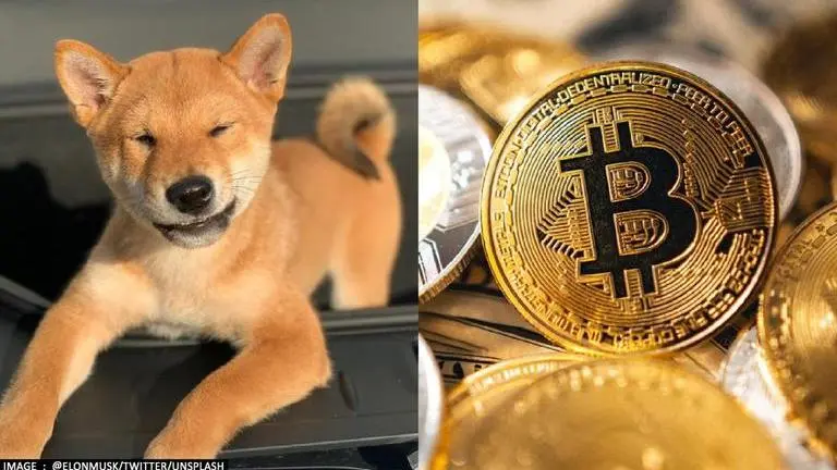 Shiba Inu Coin jumps 45% in last 24 hrs; Here's why SHIB is going up shiba inu price prediction