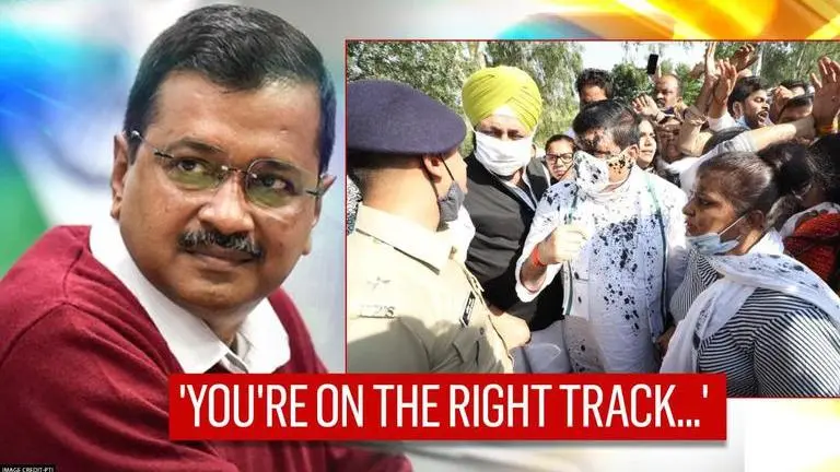 Arvind Kejriwal reacts to ink attack on AAP's Sanjay Singh, calls it a 'defeat of UP govt' Arvind Kejriwal