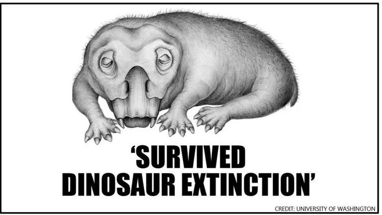 Evidence: Species that roamed with dinosaur survived mass extinction due to 'hibernation' Evidence
