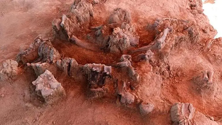 Mexico: Mammoth bones and human burials found near construction site of new airport Mexico