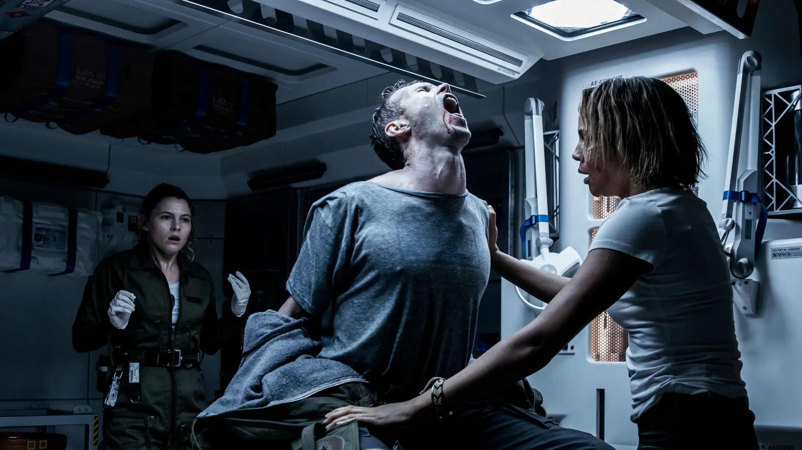 Description of the pic