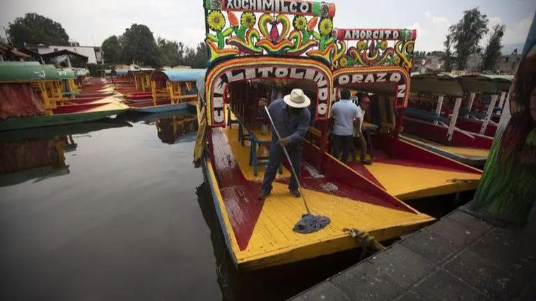 Mexico's Fine Arts museum welcomes back visitors