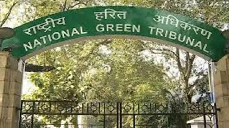 NGT junks plea seeking alternative methods of cremation to reduce air pollution