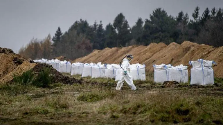 Danish agriculture minister quits over mink culling fiasco Danish agriculture minister quits over mink culling fiasco