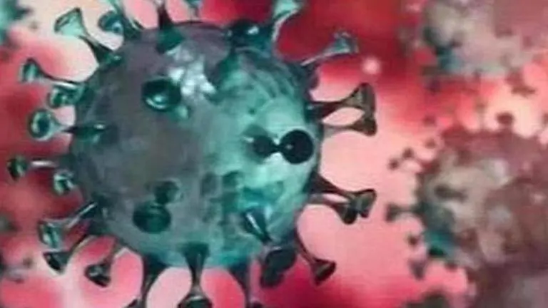 Coronavirus scare: 30 home quarantined in West Bengal's Nadia