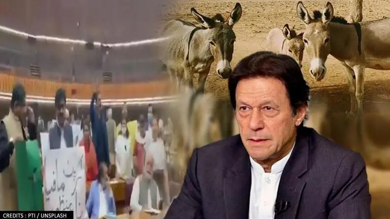 Pakistan Opposition protests against PM Imran; chants 'Donkey Raja Ki Sarkar Nahi Chalegi' Pakistan