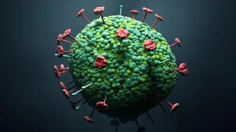 Langya Virus
