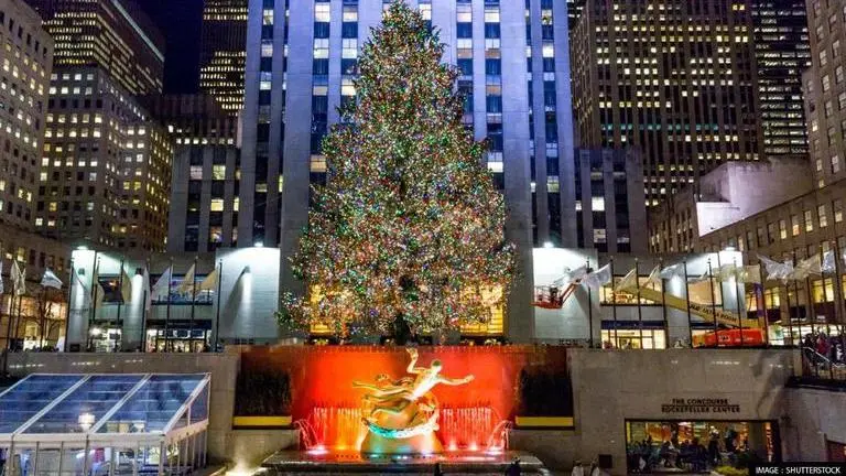Rockefeller Centre: Where does the Christmas tree come from? History, timing and more Where does the Rockefeller Christmas Tree come from?