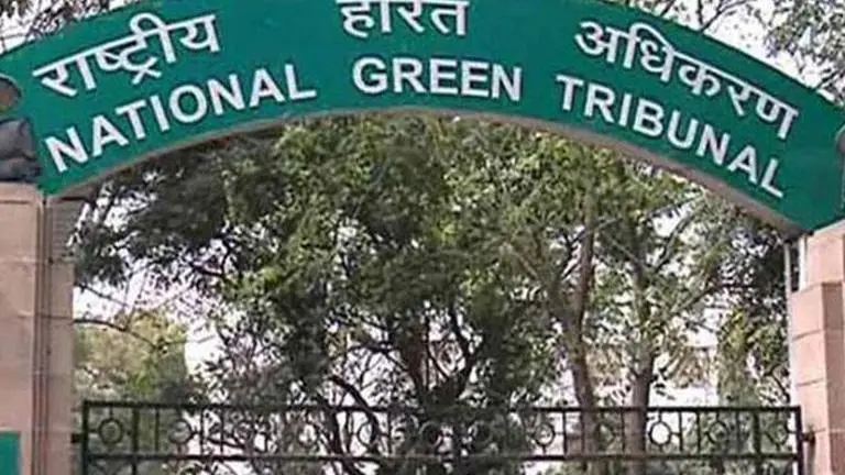 Segregation of COVID-19 waste must to avoid further contamination: NGT