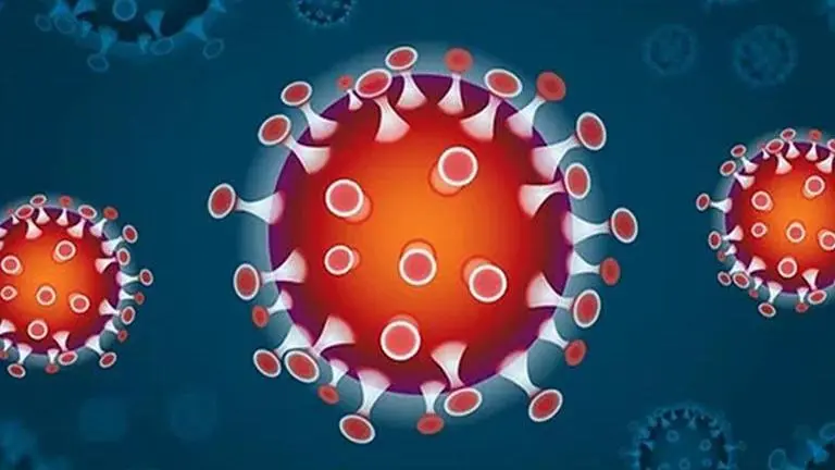 76 new COVID-19 cases in Odisha, total rises to 1,593