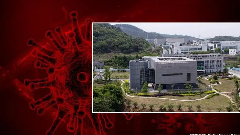 Wuhan Institute of Virology head calls coronavirus leak claims 'pure fabrication'