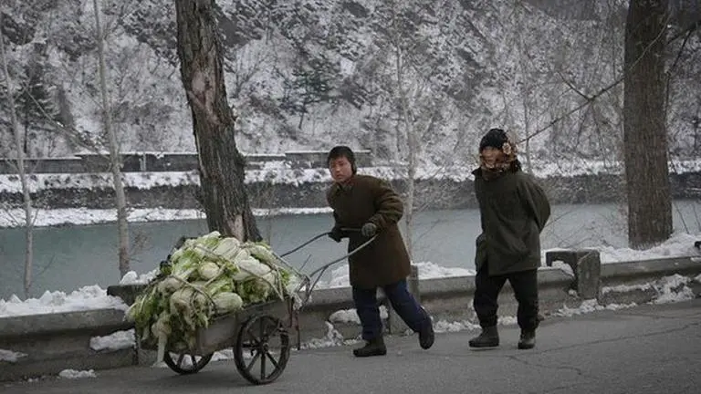 Poor harvest could push North Korea to brink of famine| Here's all you need to know North Korea
