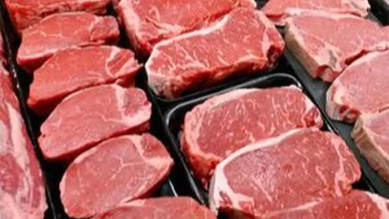 Bird flu: Delhi corporations ban sale, storage of poultry or processed chicken meat