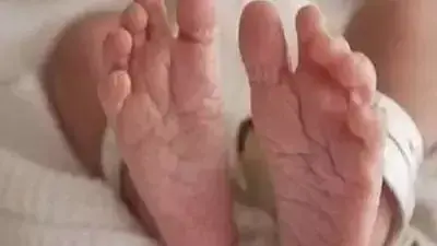 UP : ललितपुर के अस्पताल में समय से पहले जन्मे शिशु का शव कूड़े में मिला Body of a prematurely born baby found in garbage