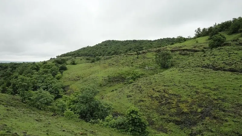 Ananthagiri Hills