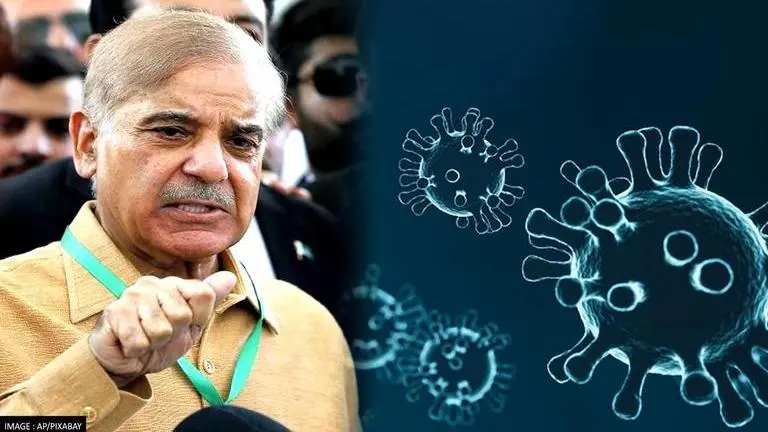Pakistan government dismisses report of monkeypox case in country: Report Monkeypox