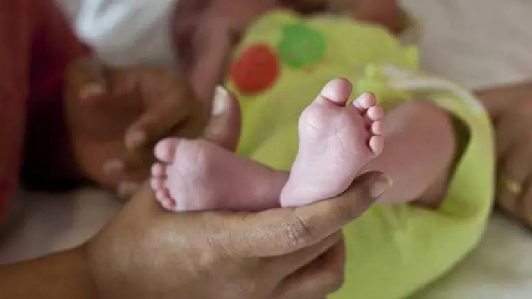 Coronavirus baby boom another curve that could be flattened