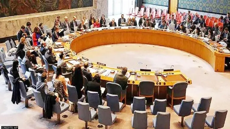 At UNSC meet, MEA confirms India & Vietnam agree to work closely on 'wide range of issues' UNSC